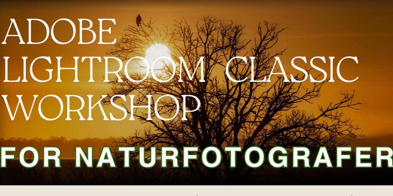 Lightroom Øvede Naturfotografer Hjemmeside