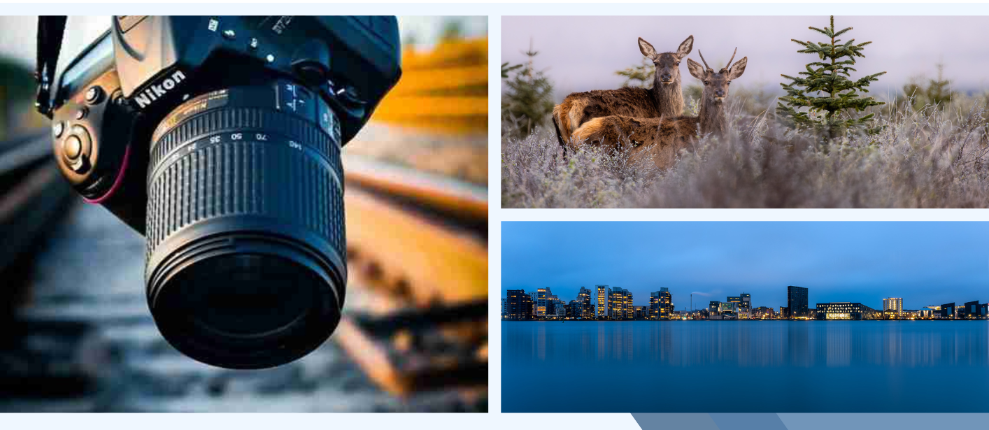 collage foto